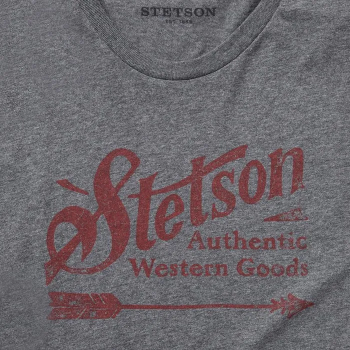 Vintage Arrow Graphic Tee Grey Men Stetson Tees